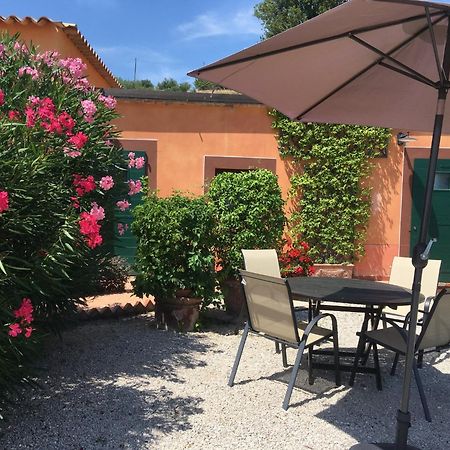 Villa Poggio Montali à Monte Roberto Extérieur photo
